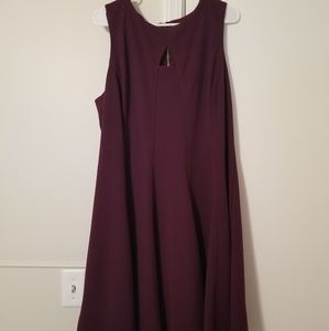 Dress Barn Knee Length A-Line Dress